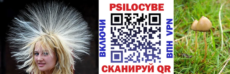 где найти наркотики  Архангельск  Галлюциногенные грибы GOLDEN TEACHER 
