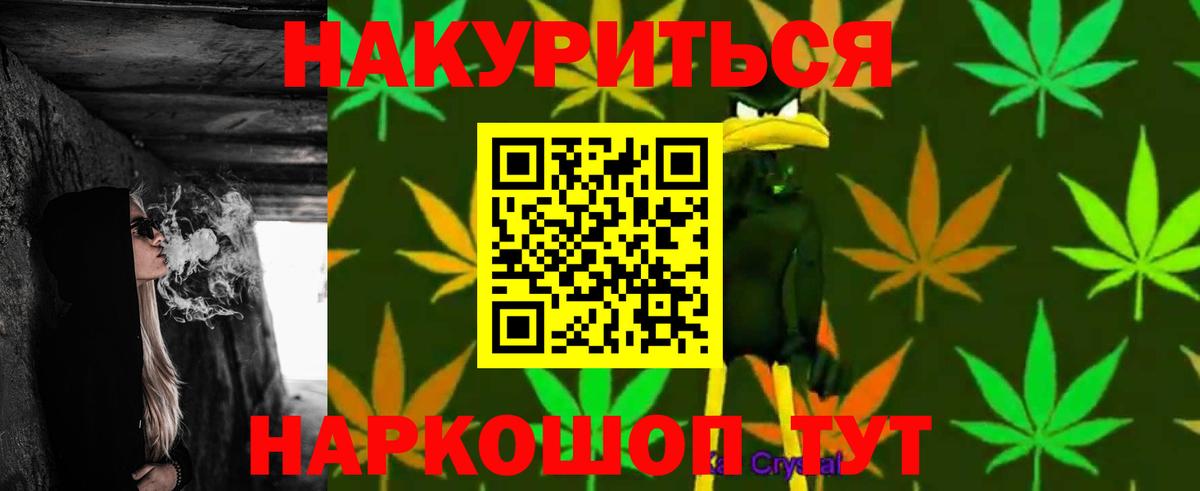 Каннабис план Архангельск
